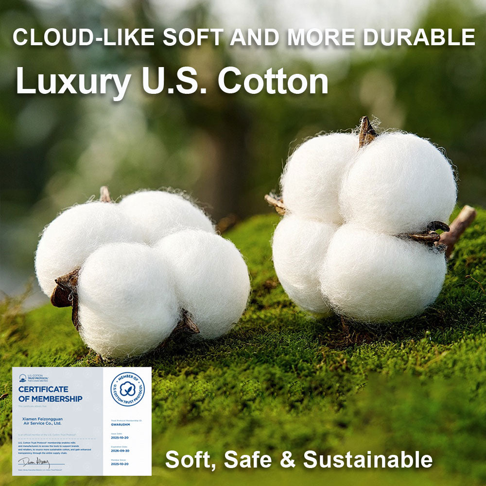 Women's Mid-Waist Cotton Panties (4 Pack)